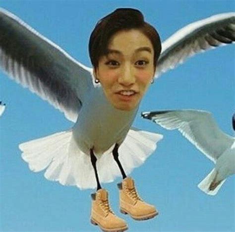 justin seagull|More.